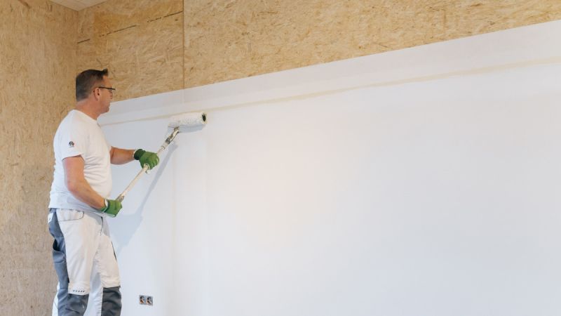 Innenausbau: Putz/Farbe direkt auf MagnumBoard